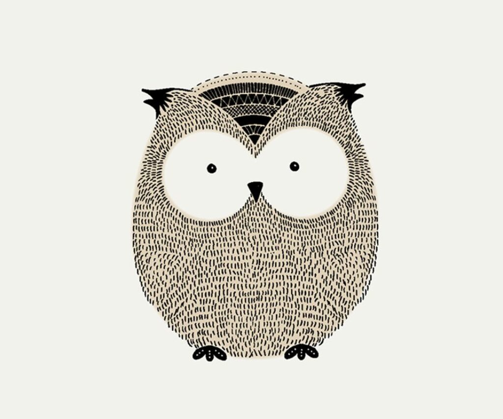 Cute Owl